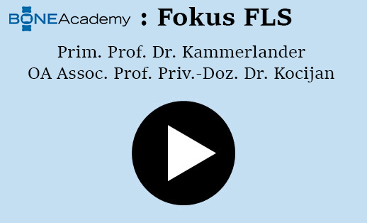 Fokus FLS